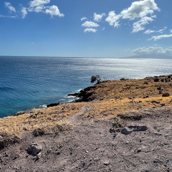 Meet your Posher, Sally - Picture 1 of 1